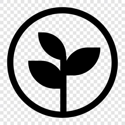 leaves of a tree, leaves of a plant, leaves of a fern, leaves icon svg