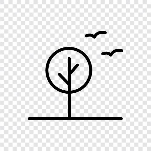 leaves, bark, branch, stem icon svg