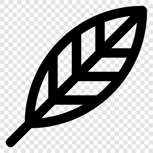 Blätter, Farn, Farnblätter, Schaum symbol