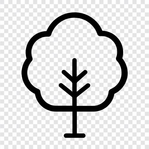 leaves, bark, trunk, flowers icon svg