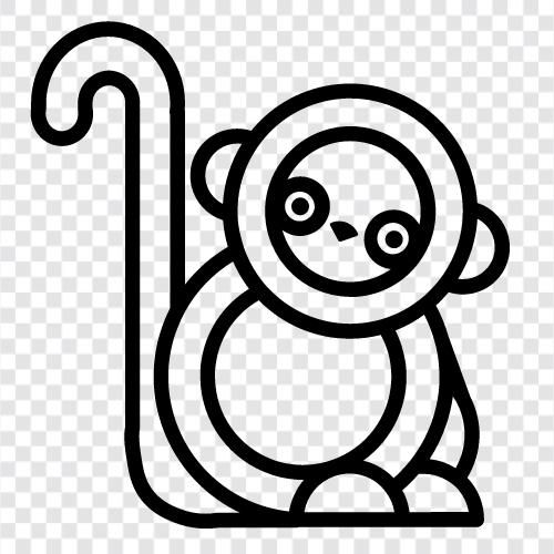 lemur, primates, Madagascar, island icon svg