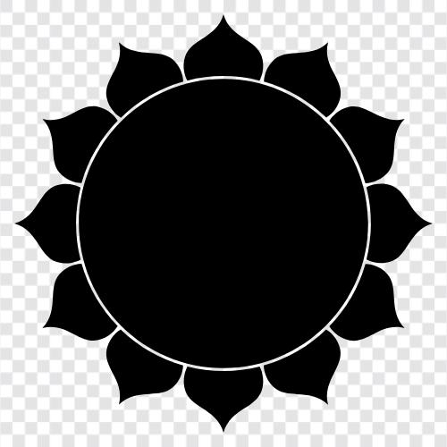 Lotus, Blume, Blüte, Pflanze symbol