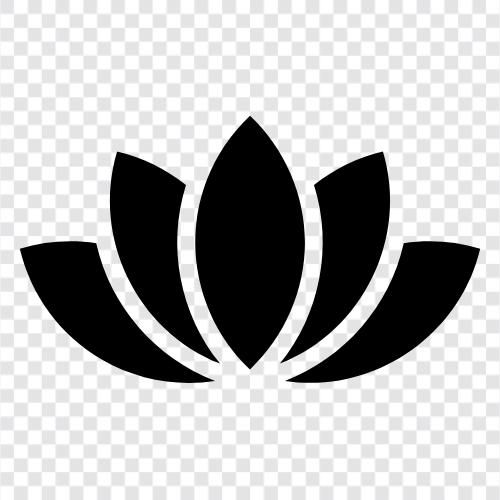 Lotus, Blumen, Blüte, Lotusblüte symbol