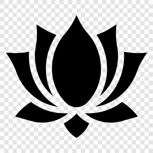 Lotus, Çiçekler, Kan, Güzel ikon svg