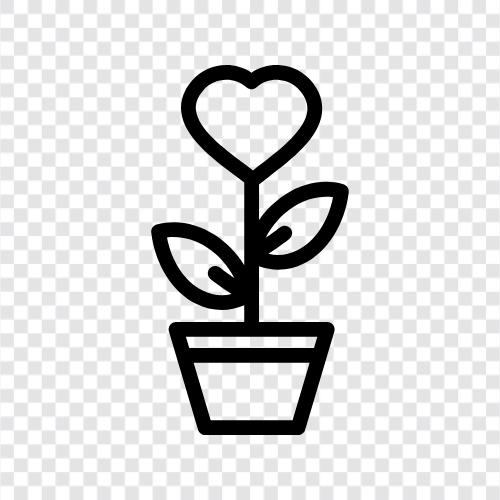 love blossoms, love flourishes, love matures, love grows icon svg