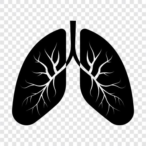 akciğerler, pnömonektomi, cerrahi, bronz ikon svg