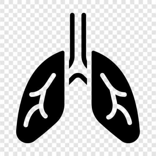 Lungen, Atmung, Inhalation, Sauerstoff symbol
