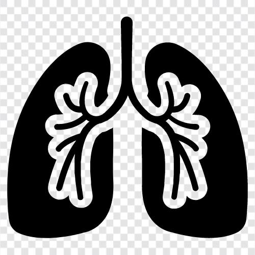 lungs, respiratory system, air, breathing Значок svg