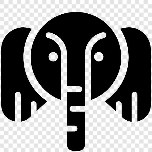 Mammal, Animal, Conservation, Trunk icon svg