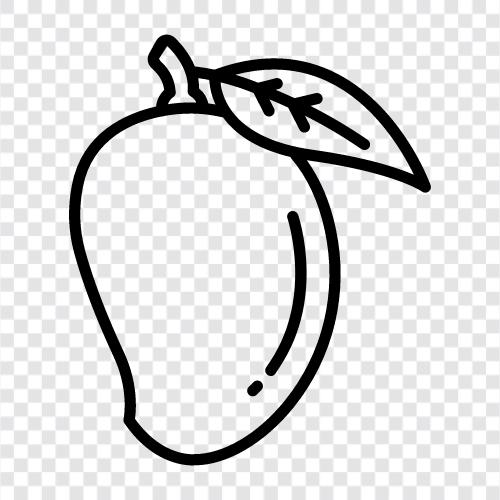 mango icon svg