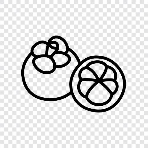 mangosteen fruit, mangosteen juice, mangosteen extract, Mangosteen icon svg