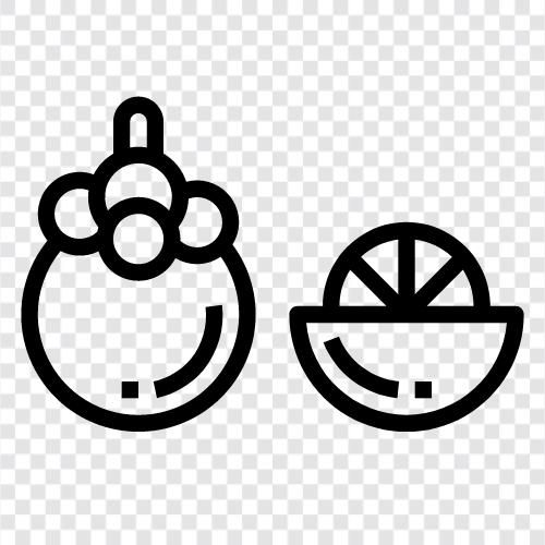 Mangosteen fruit, mangosteen tree, mangosteen juice, Mangosteen icon svg