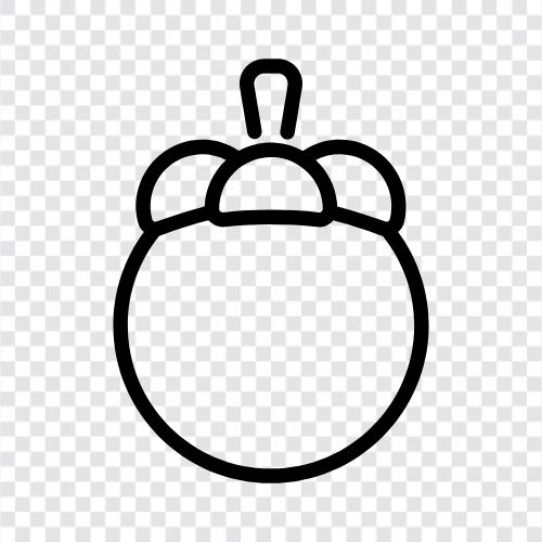 Mangosteensaft, Mangosteenfrucht, Mangosteenbaum, Mangosteen symbol