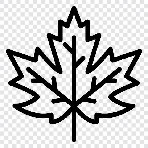 Maple Leaf Gardens, Leafs, NHL, Toronto ikon svg