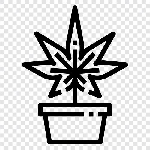 marihuana, kannabis, herb, dope ikon svg