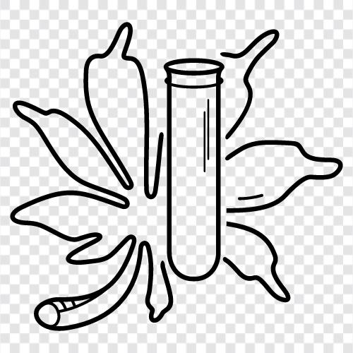 marijuana, weed, 420, MARIJUANA icon svg