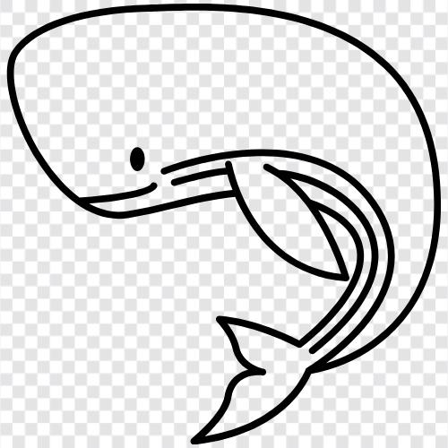 marine mammal, cetacean, mammal, aquatic mammal icon svg