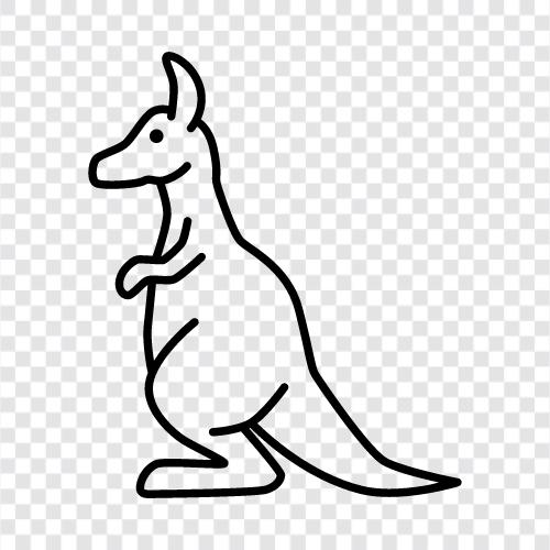 marsupial, animal, Australia, hopping icon svg