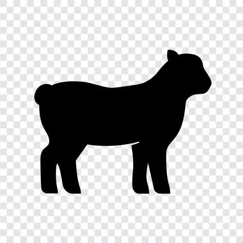 mutton, keşkek, pork, poultry ikon svg