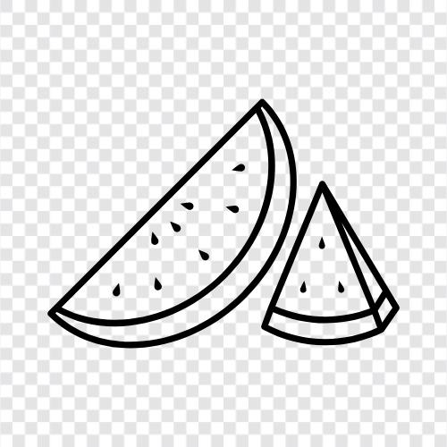 melon, fruit, fresh, healthy icon svg