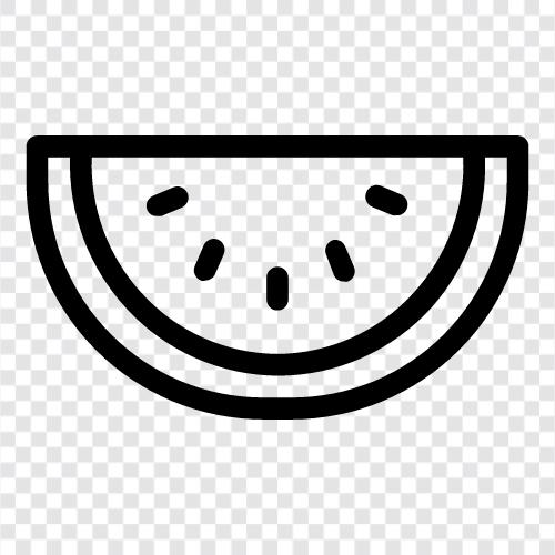 melon, honeydew, cantaloupe, muskmel icon svg