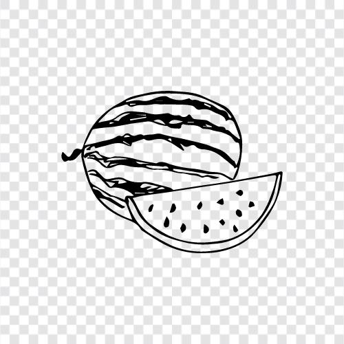 melon, cantaloupe, honeydew, watermelon flavor icon svg