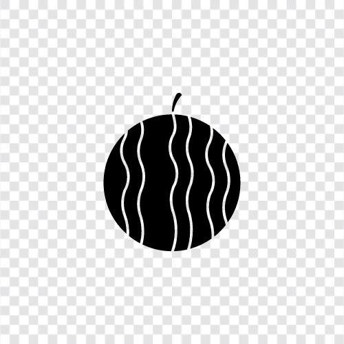 Melone, Cantaloupe, Honigtau, Obst symbol