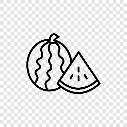 melon, fruit, summer, healthy icon svg