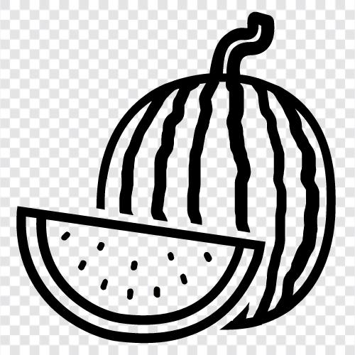 Melone, Obst, süß, lecker symbol