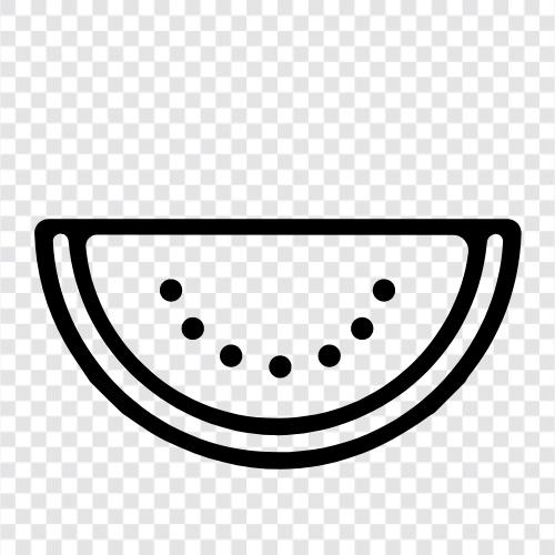 melon, cantaloupe, honeydew, seedless icon svg