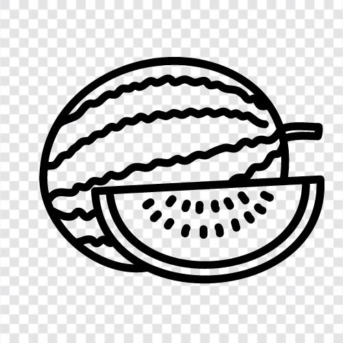 melon, summer, fruit, healthy icon svg