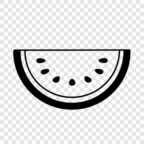 melon, cantaloupe, honeydew, fruit icon svg