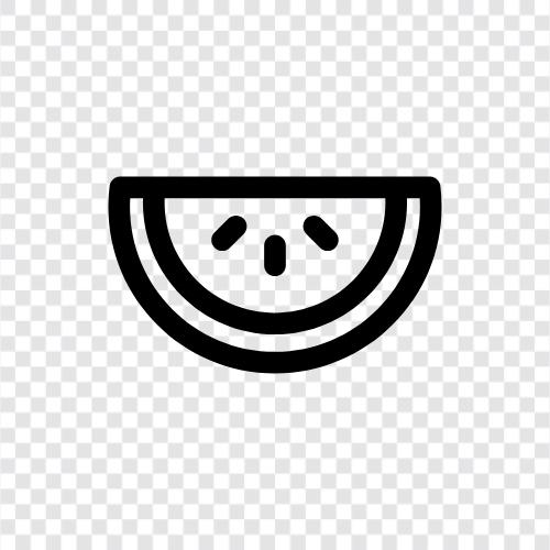 melon, cantaloupe, honeydew, fruit icon svg