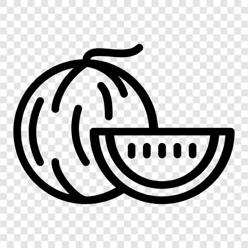 melons, cantaloupe, honeydew, fruit icon svg