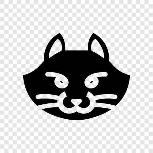 meow, purr, feline, house cat icon svg