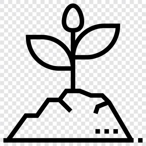 Mikrogrüne, Salat, Kohl, Radieschen symbol