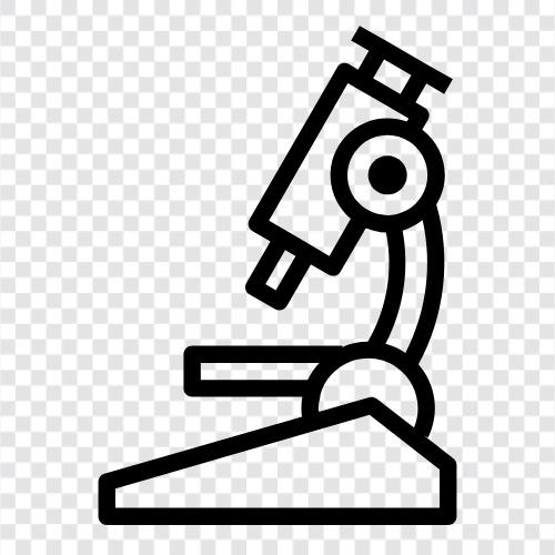 Mikroskop, Mikroskopausrüstung, Mikroskopdias, Mikroskopbilder symbol