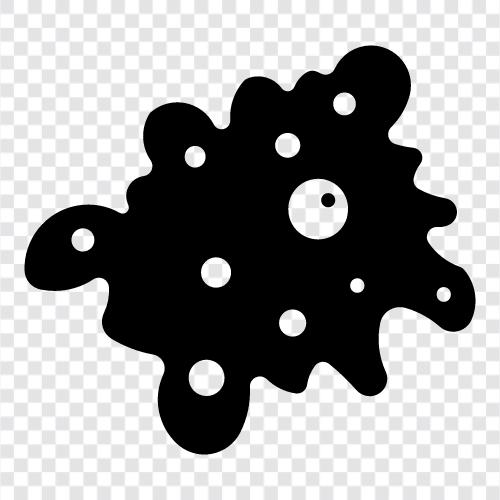 microscopic, protozoa, singlecelled, water icon svg