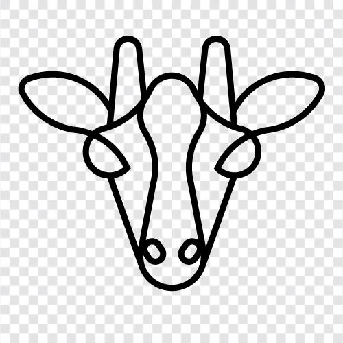 Milch, Käse, Landwirtschaft, Tiere symbol