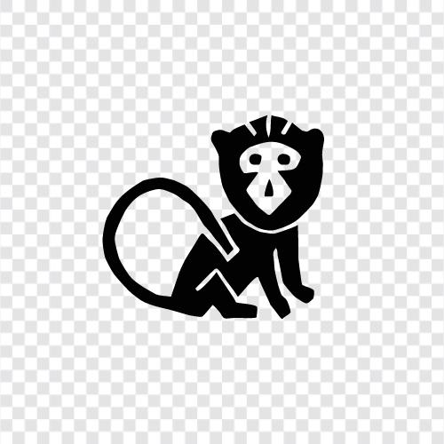 Mona the Monkey, Affen, Tiere, Tierwelt symbol