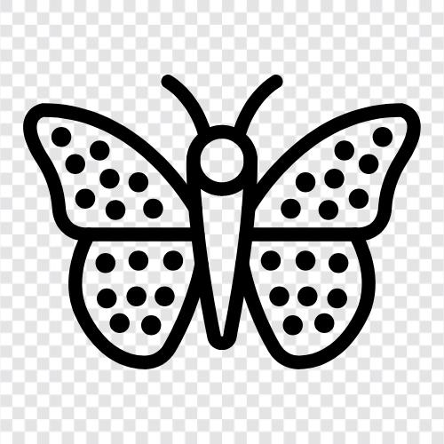 Monarch butterfly, Lepidoptera, flutter, flight icon svg