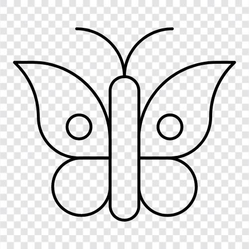 Monarch, Erhaltung, Lebensraum, Lepidoptera symbol