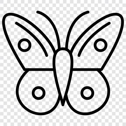 Monarch symbol