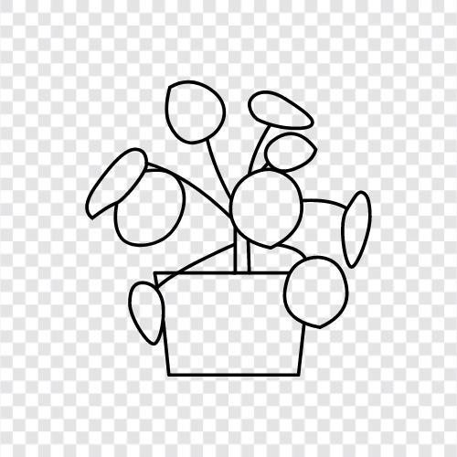 money tree, yuan bao, jing guo, yuan qian icon svg