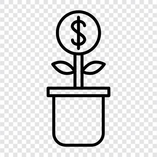 money tree care, care for a money, money tree icon svg