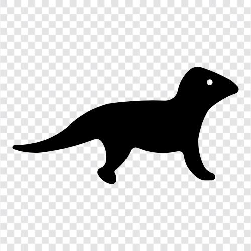 mongoose eklentisi, mongoose ORM, mongoose sürücüleri, mongoose ikon svg