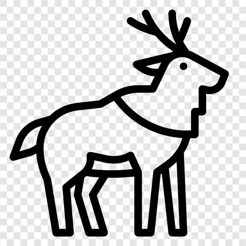 moose icon svg