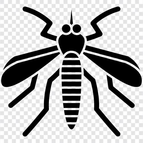 mosquito net, malaria, vector, Aedes aegypti icon svg