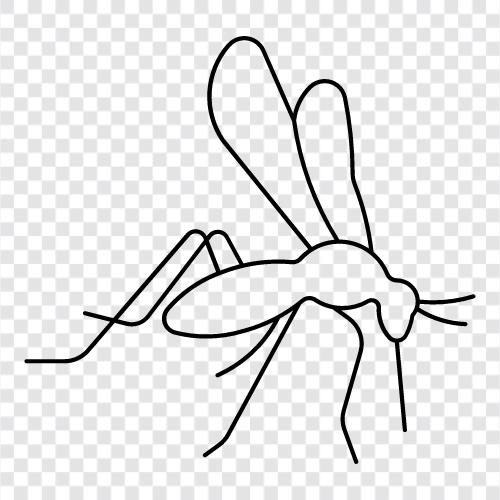 mosquito net, bed net, malaria, dengue icon svg