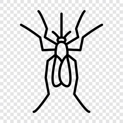 mosquitoes, bug, flying, biting icon svg